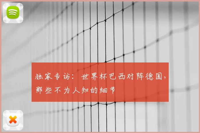 独家专访：世界杯巴西对阵德国，那些不为人知的细节