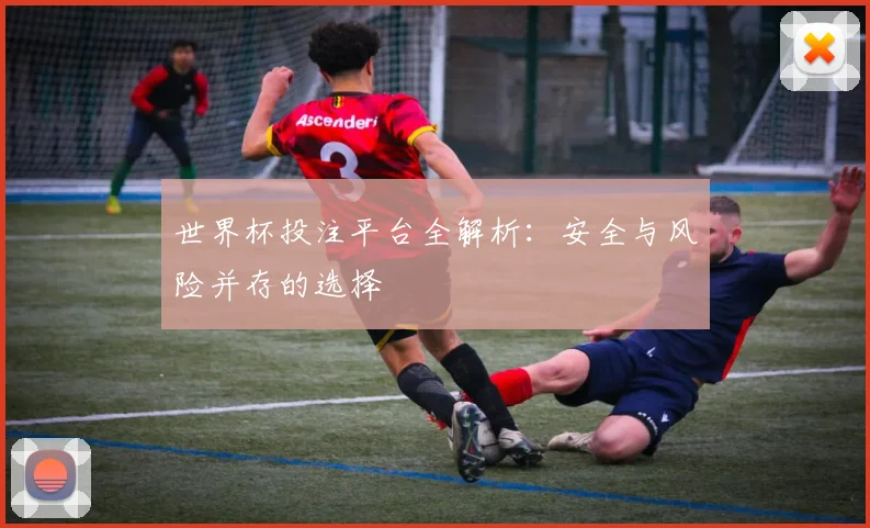 世界杯投注平台全解析：安全与风险并存的选择