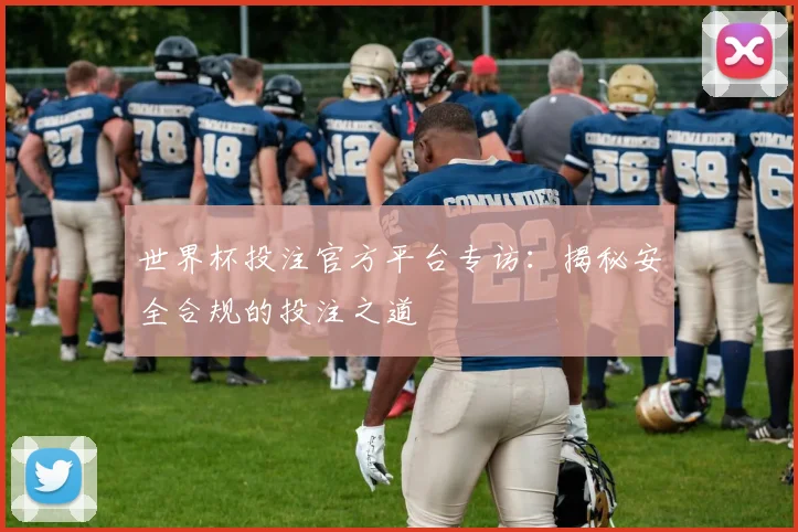 世界杯投注官方平台专访：揭秘安全合规的投注之道