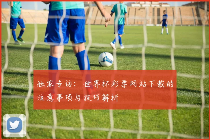 独家专访：世界杯彩票网站下载的注意事项与技巧解析
