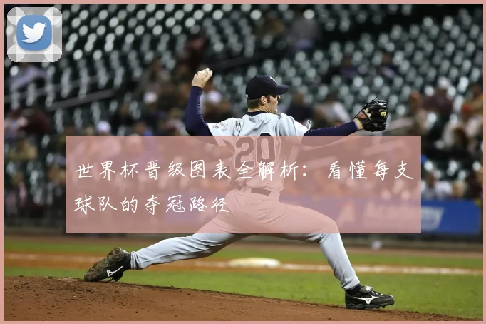 世界杯晋级图表全解析:看懂每支球队的夺冠路径
